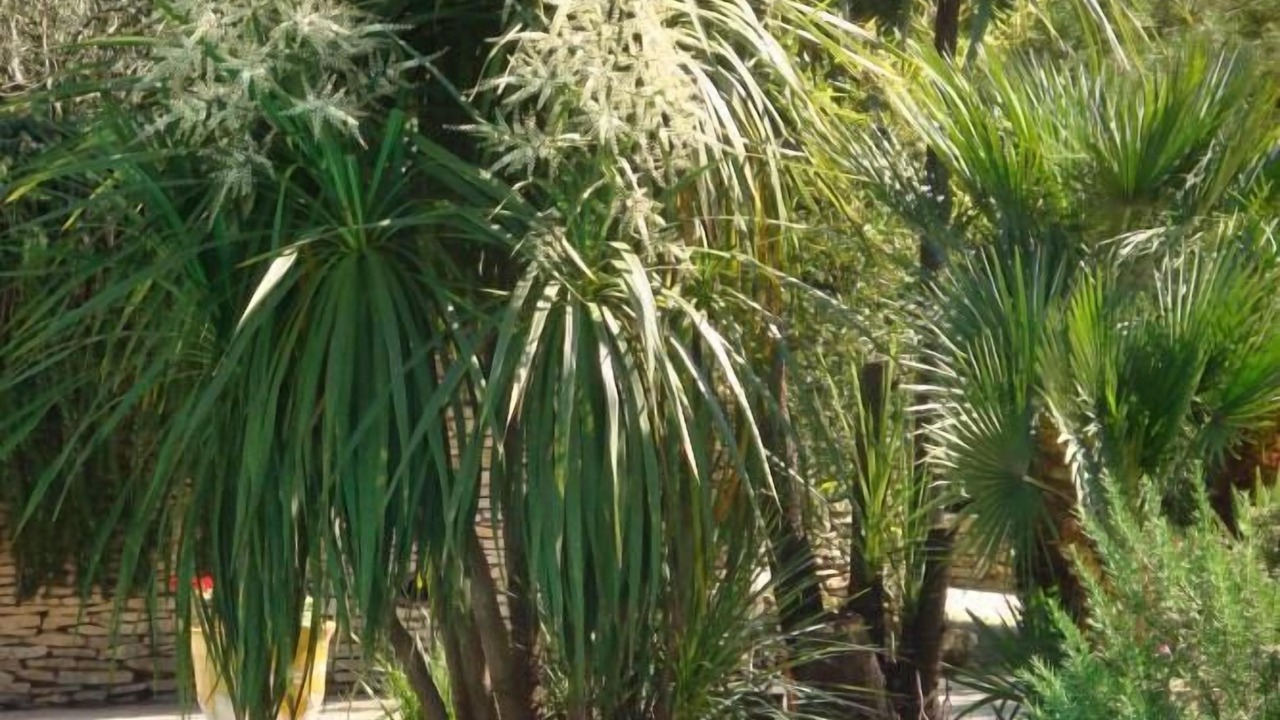 Photo of Outdoor in Orgon