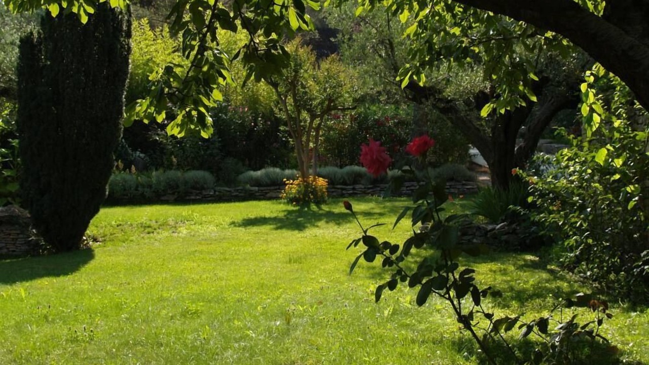 Photo of Outdoor in Orgon