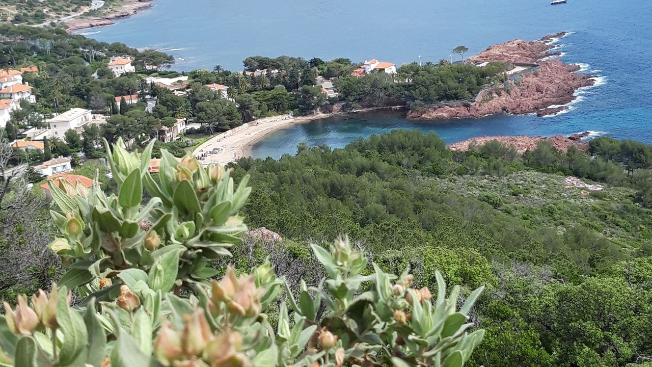 Photo of Others in Cap Esterel