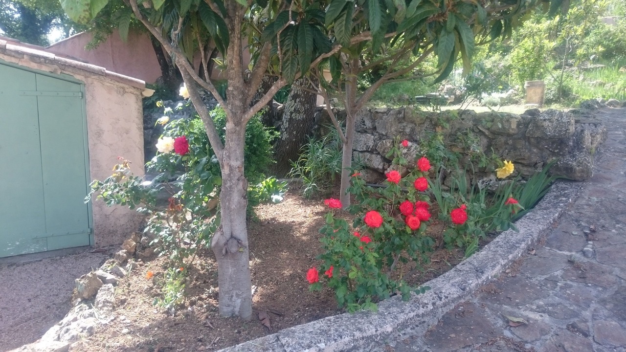 Photo of Outdoor in Les Censies