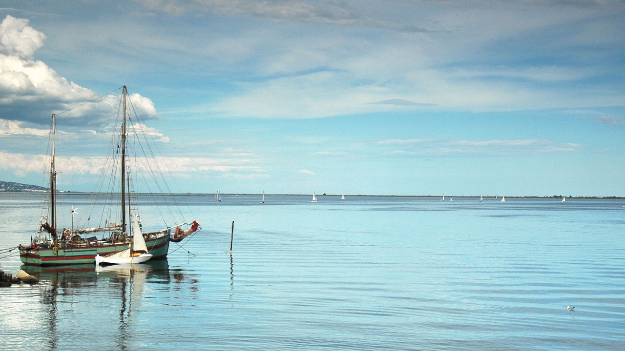 Photo of Others in Marseillan