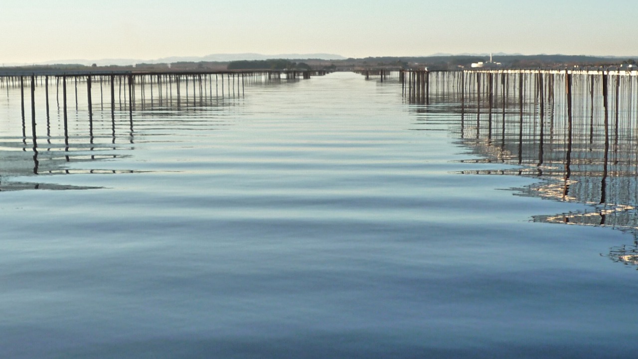 Photo of Others in Marseillan