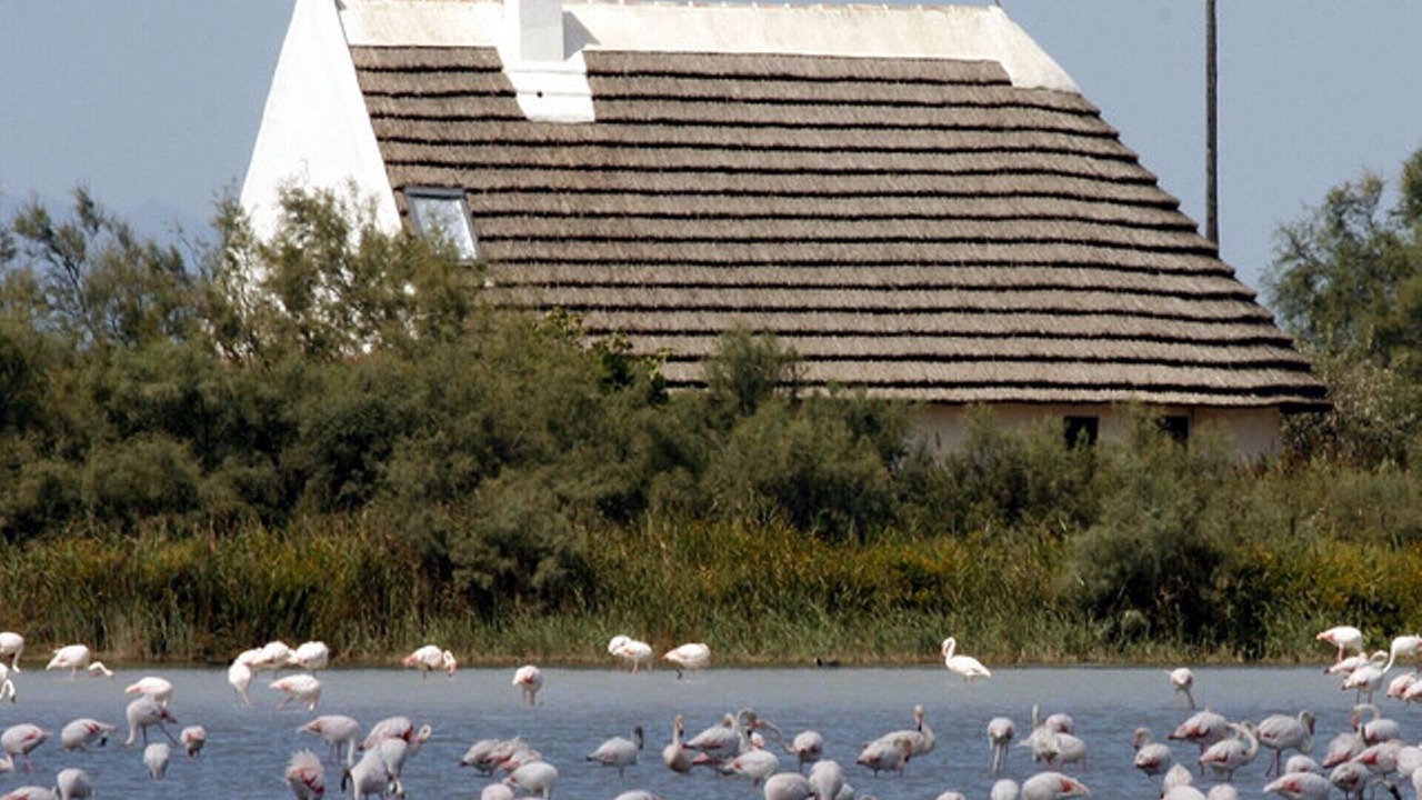 Photo of Outdoor in Les 3 Ponts