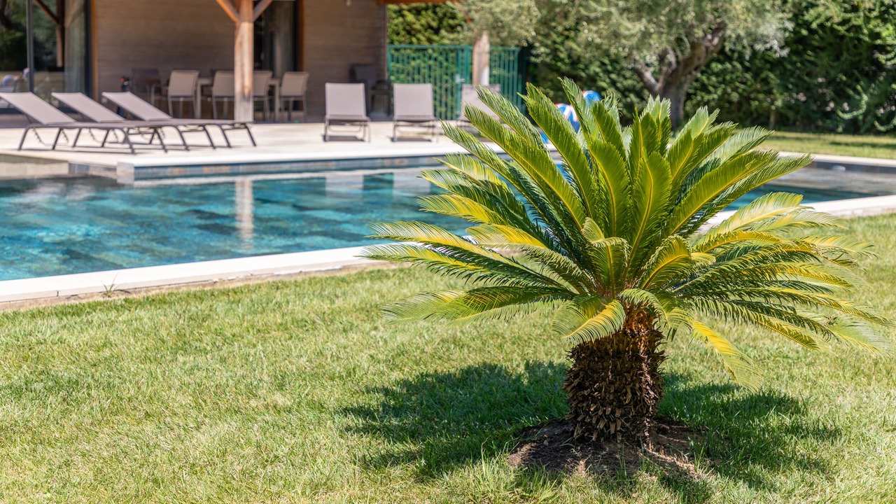 Photo of Outdoor in St.-Remy-de-Provence