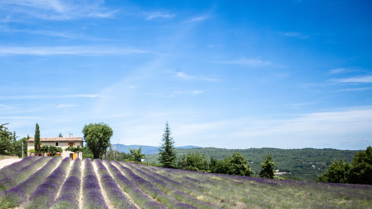 Photo of Outdoor in Castellet