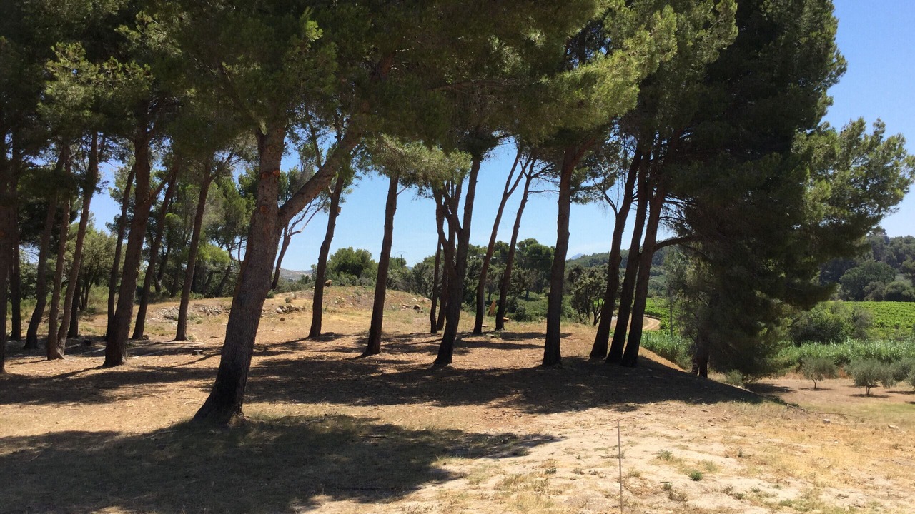 Photo of Others in Maussane-les-Alpilles