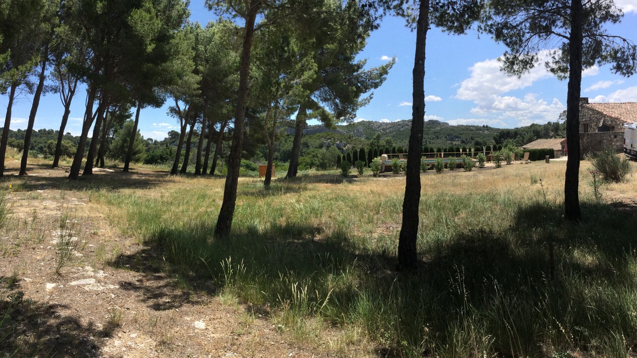 Photo of Outdoor in Maussane-les-Alpilles