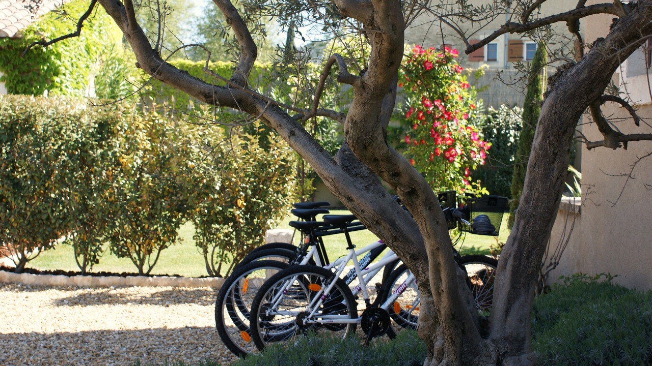 Photo of Outdoor in St.-Remy-de-Provence
