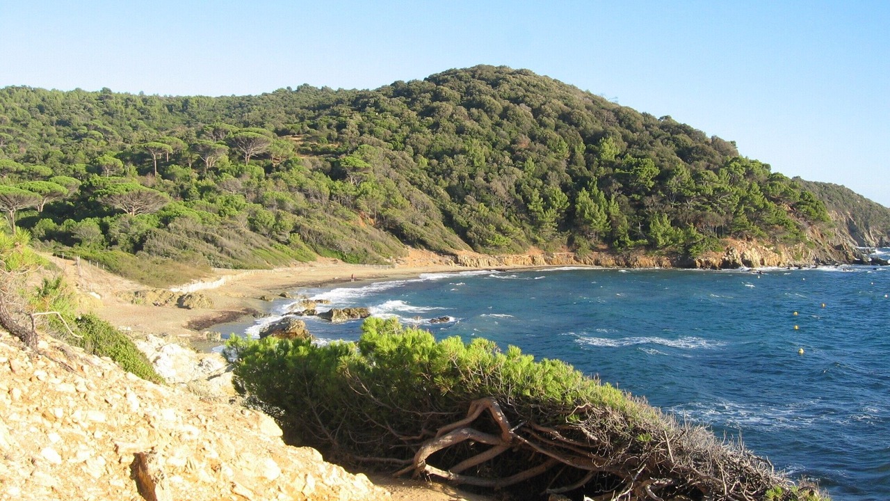 Photo of Others in La Croix-Valmer