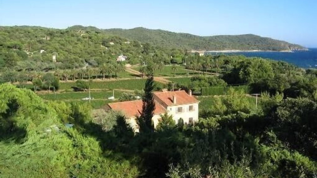 Photo of Outdoor in La Croix-Valmer