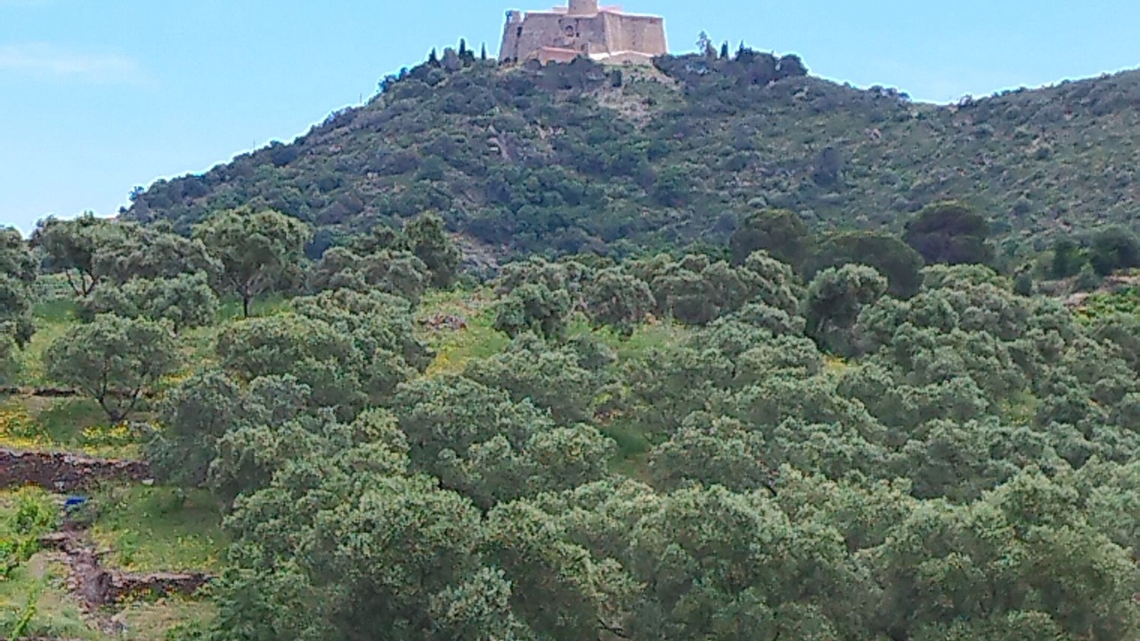 Photo of Others in Collioure