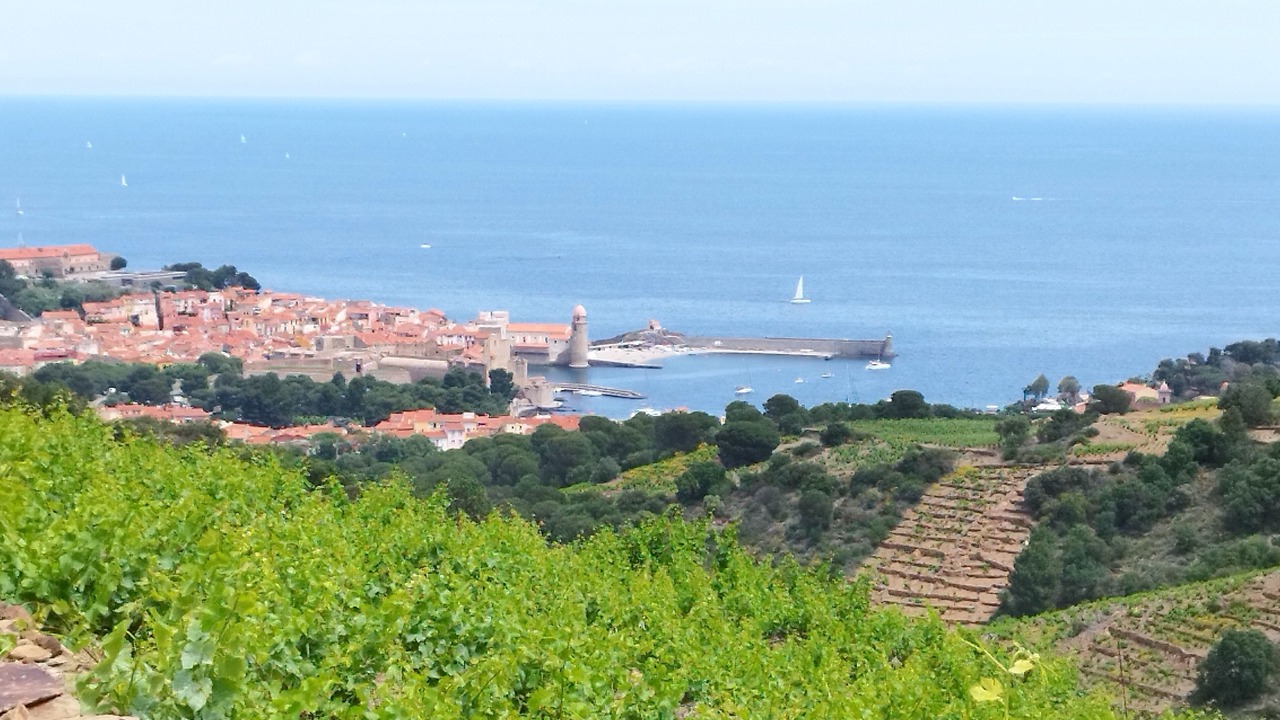 Photo of Others in Collioure