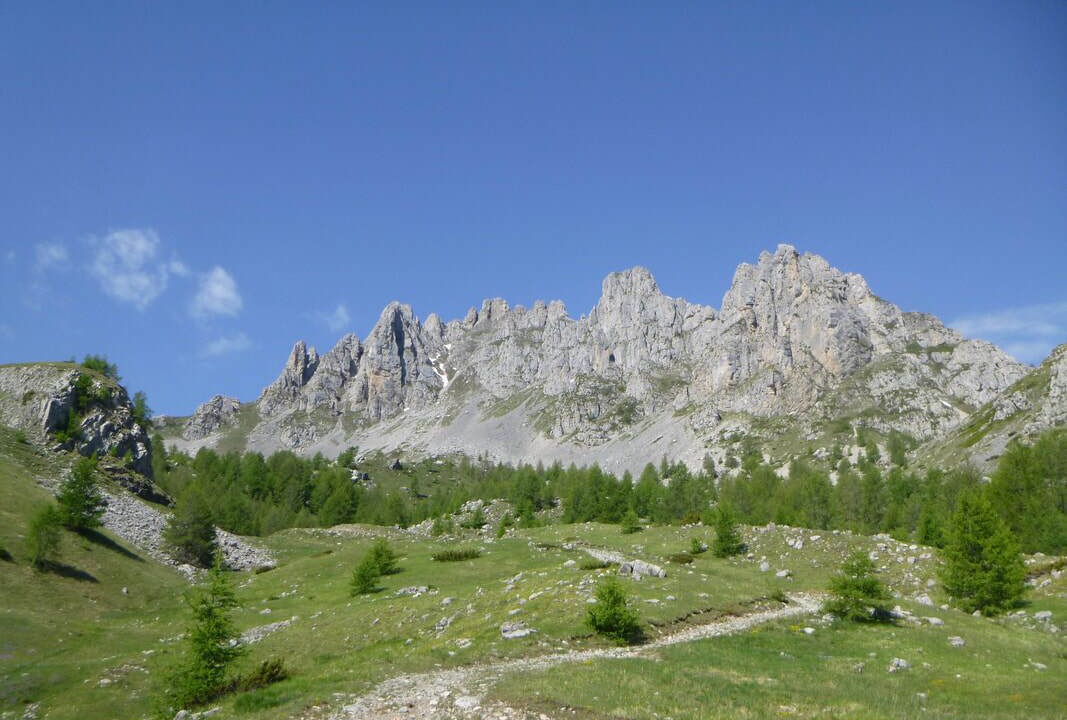 Photo of Others in Puy-Saint-Eusebe