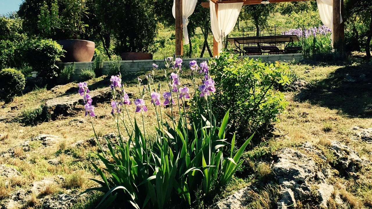 Photo of Outdoor in Cavaillon