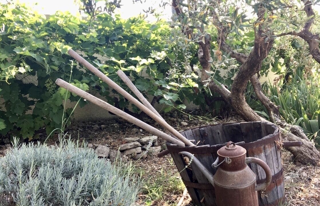 Photo of Outdoor in Cavaillon