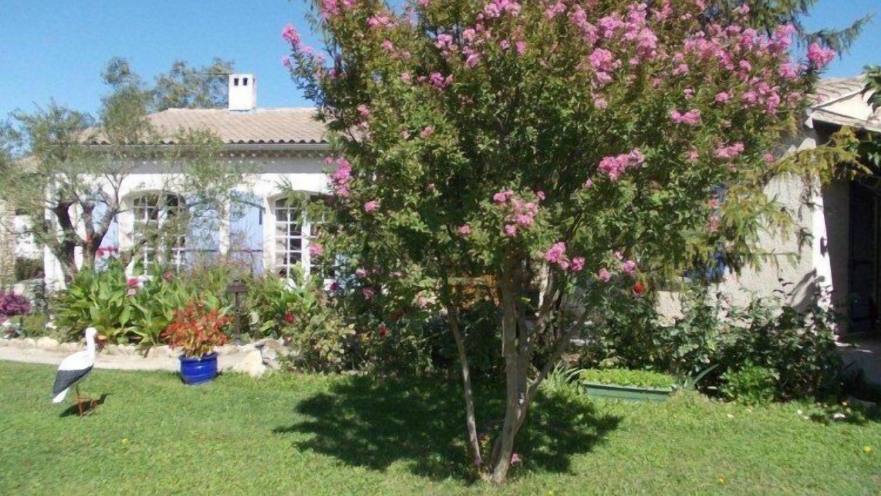 Photo of Outdoor in Cavaillon