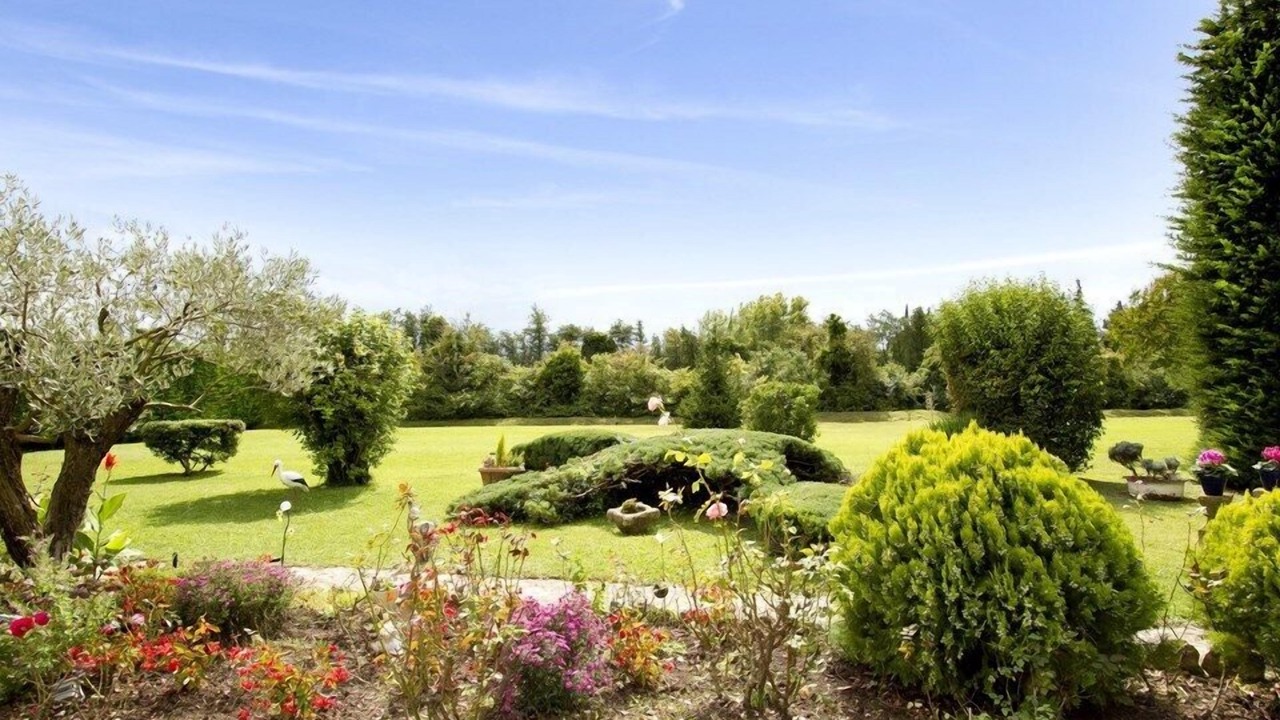 Photo of Outdoor in Cavaillon