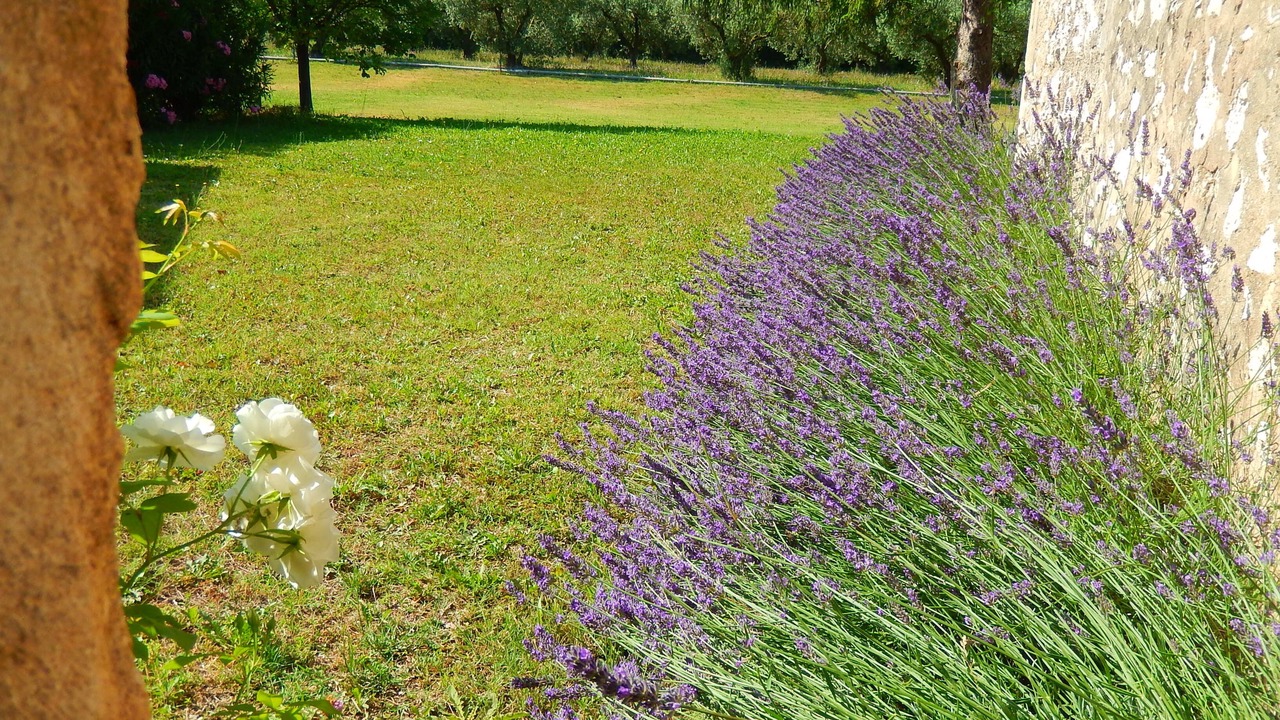 Photo of Outdoor in Eygalieres