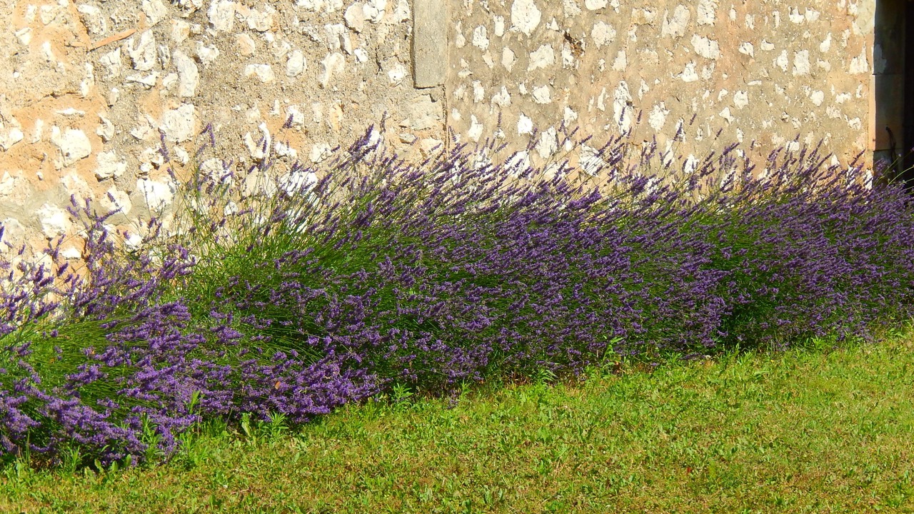 Photo of Outdoor in Eygalieres