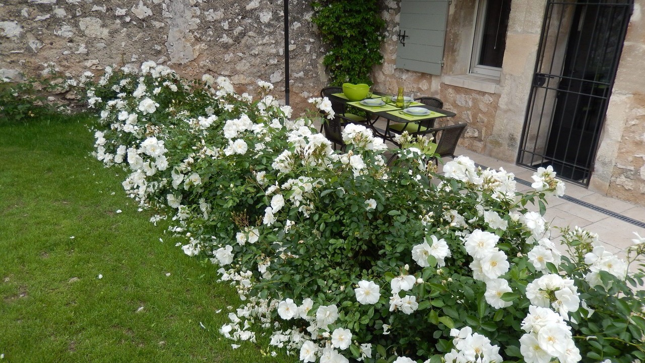 Photo of Outdoor in Eygalieres