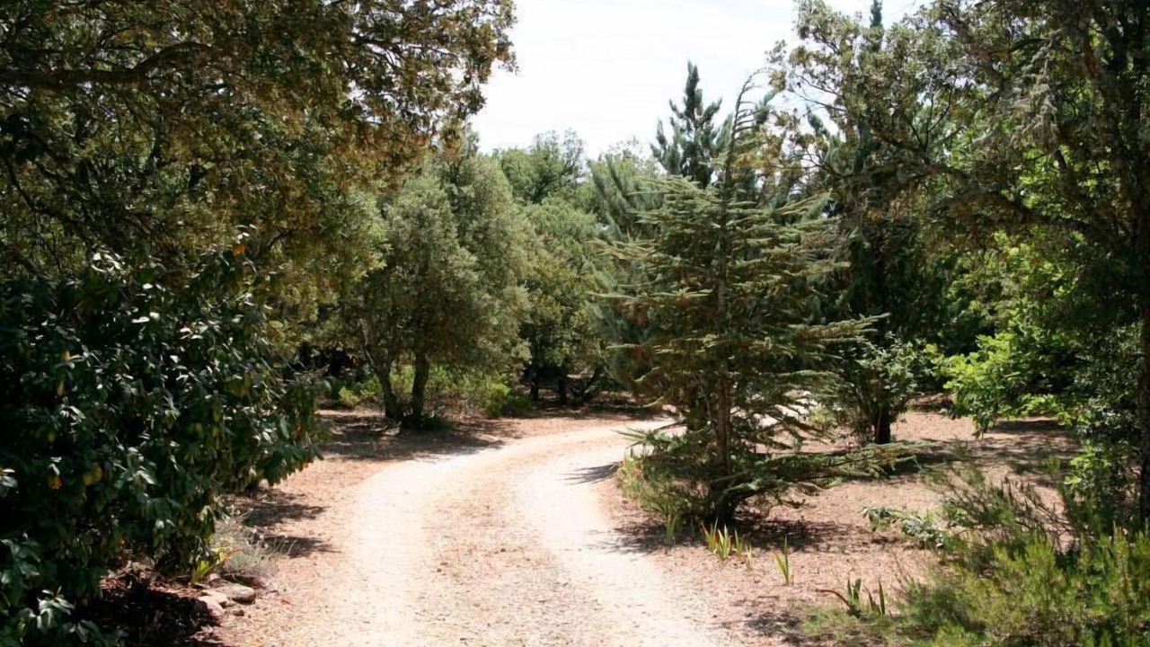Photo of Outdoor in Bonnieux
