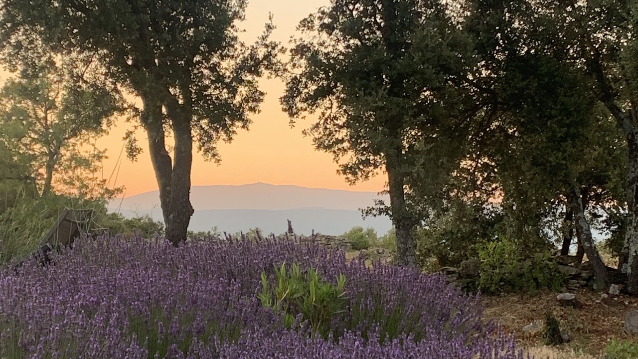 Photo of Outdoor in Bonnieux