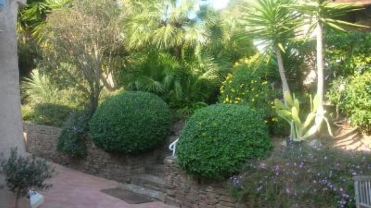 Photo of Outdoor in Hyeres