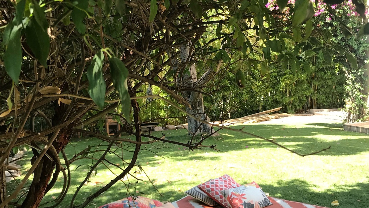 Photo of Others in Hyeres