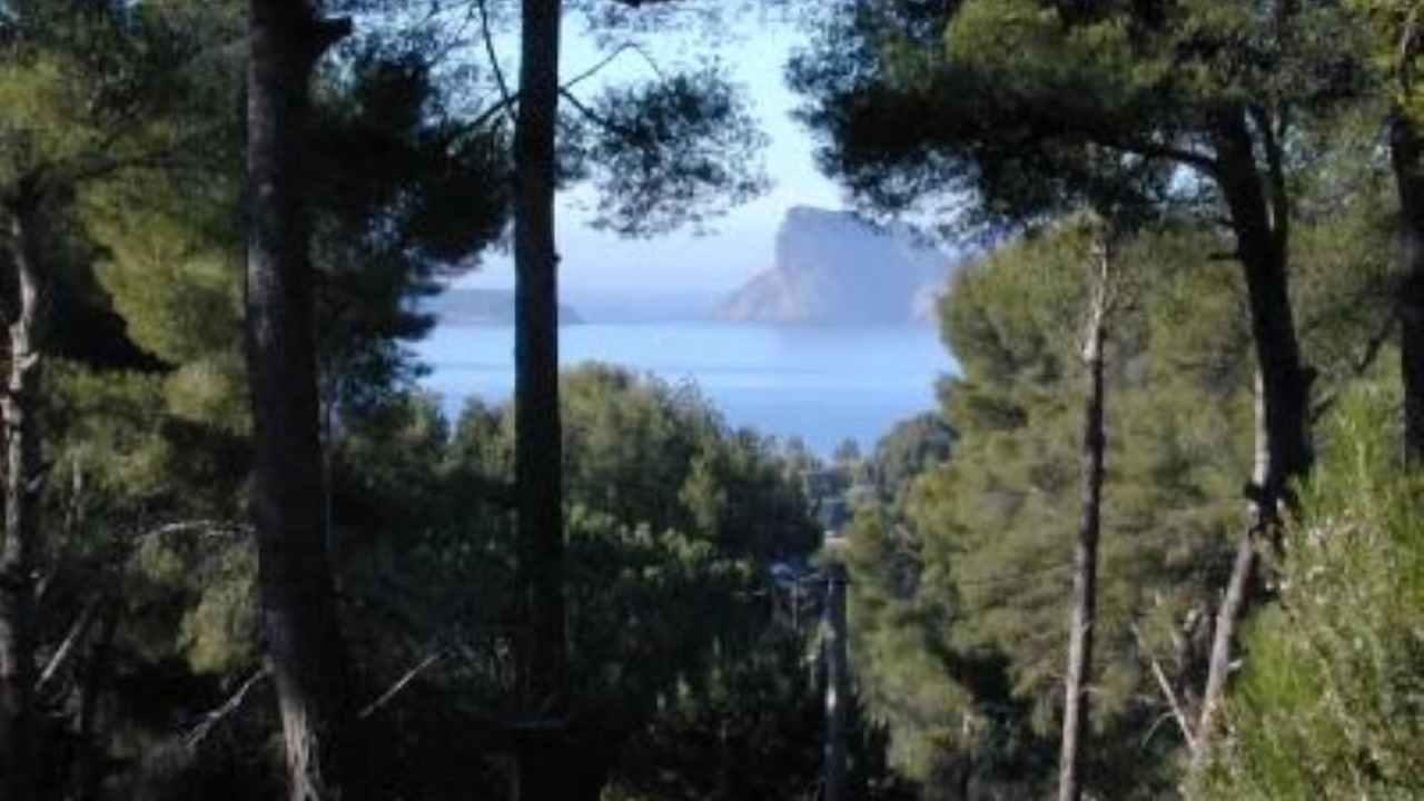 Photo of Others in La Ciotat