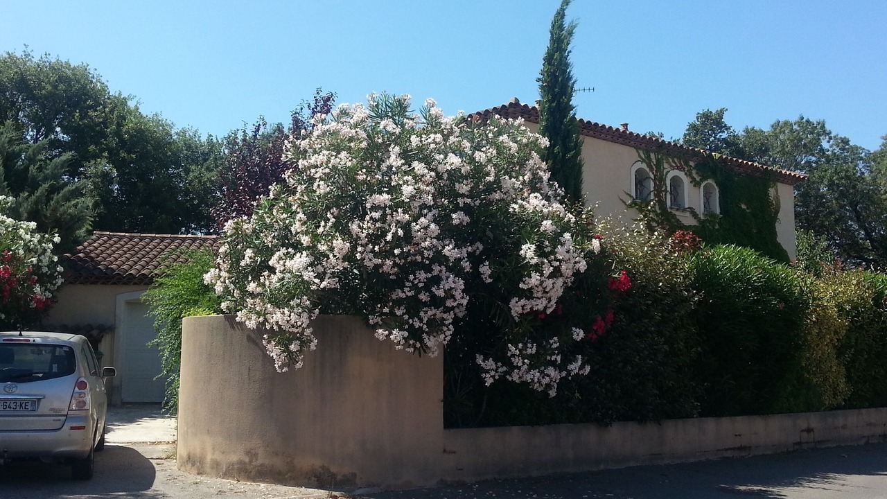 Photo of Outdoor in Saint-Cyr-sur-Mer