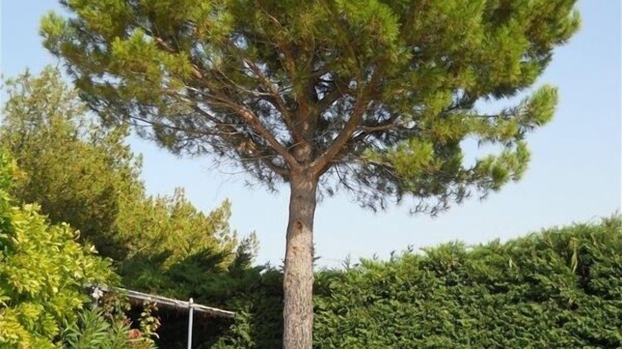 Photo of Outdoor in St.-Remy-de-Provence