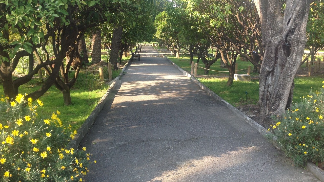Photo of Outdoor in Menton