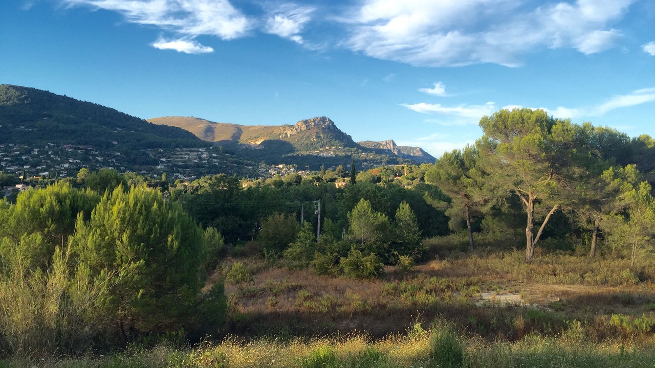 Photo of Outdoor in Vence