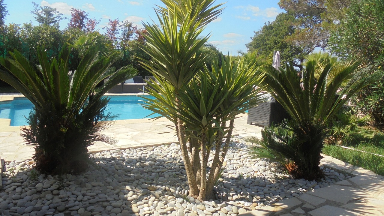 Photo of Outdoor in California - Pezou