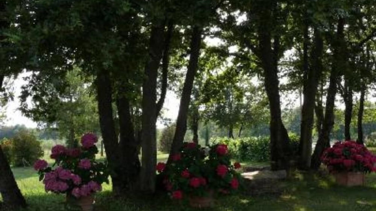 Photo of Outdoor in Montegabbione