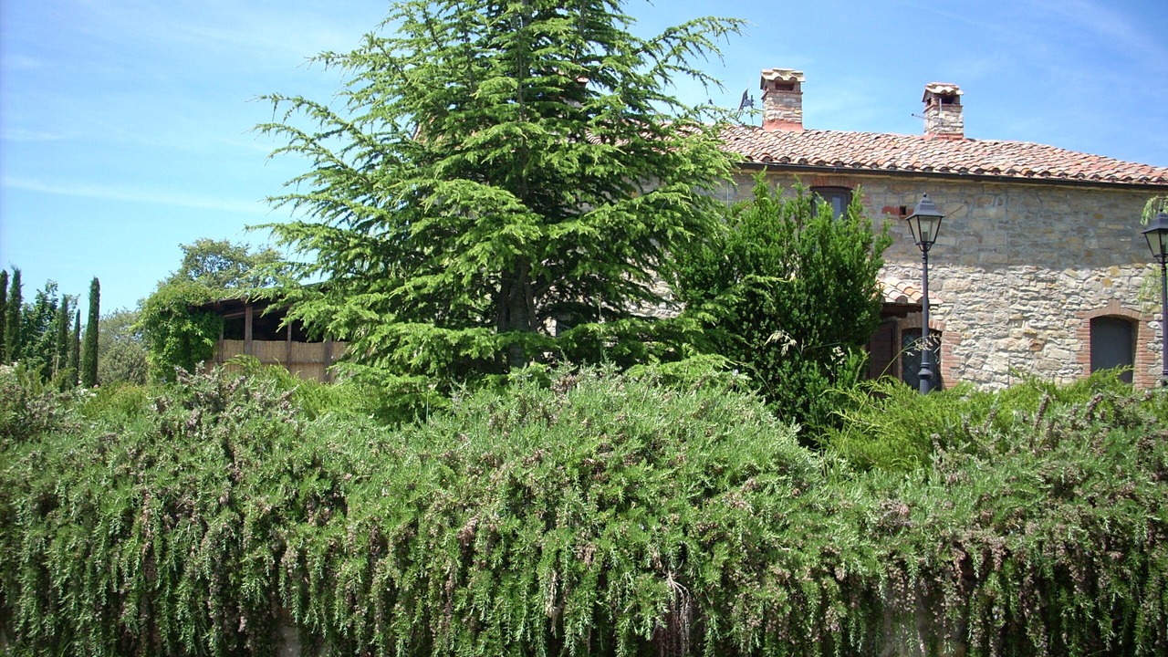 Photo of Outdoor in Montegabbione