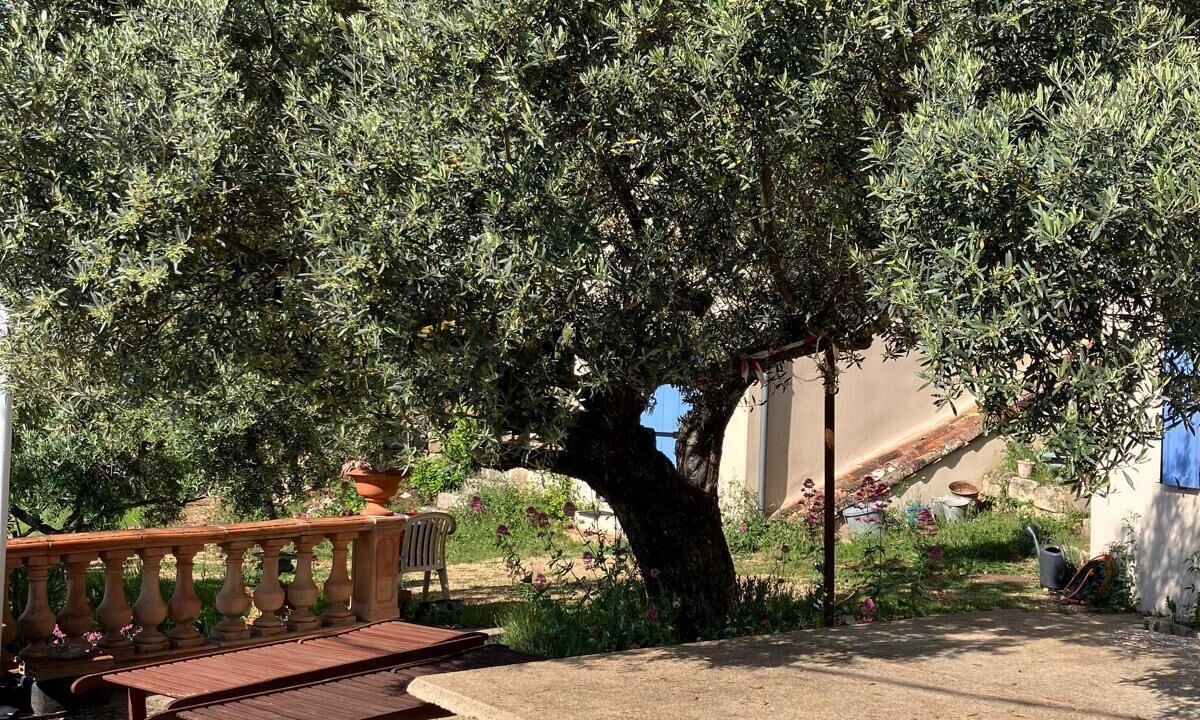 Photo of Outdoor in Cotignac