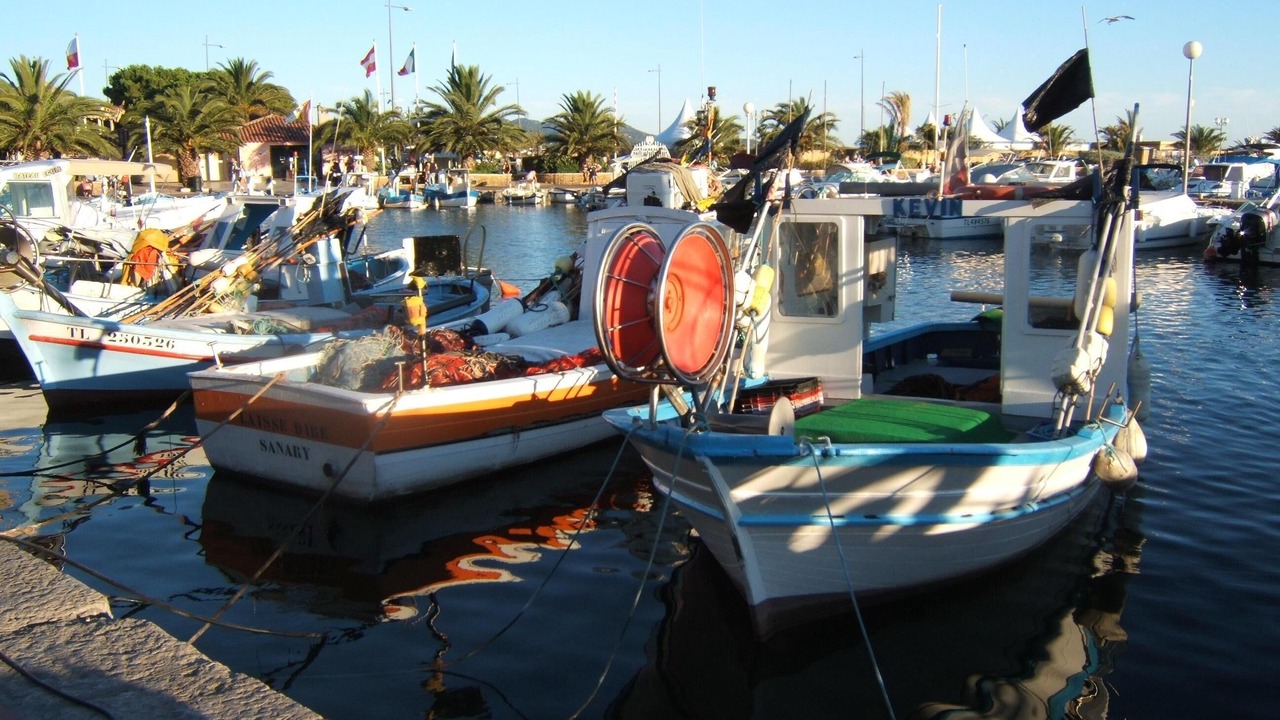 Photo of Others in Six-Fours-les-Plages