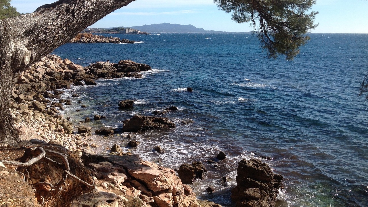 Photo of Others in Bandol