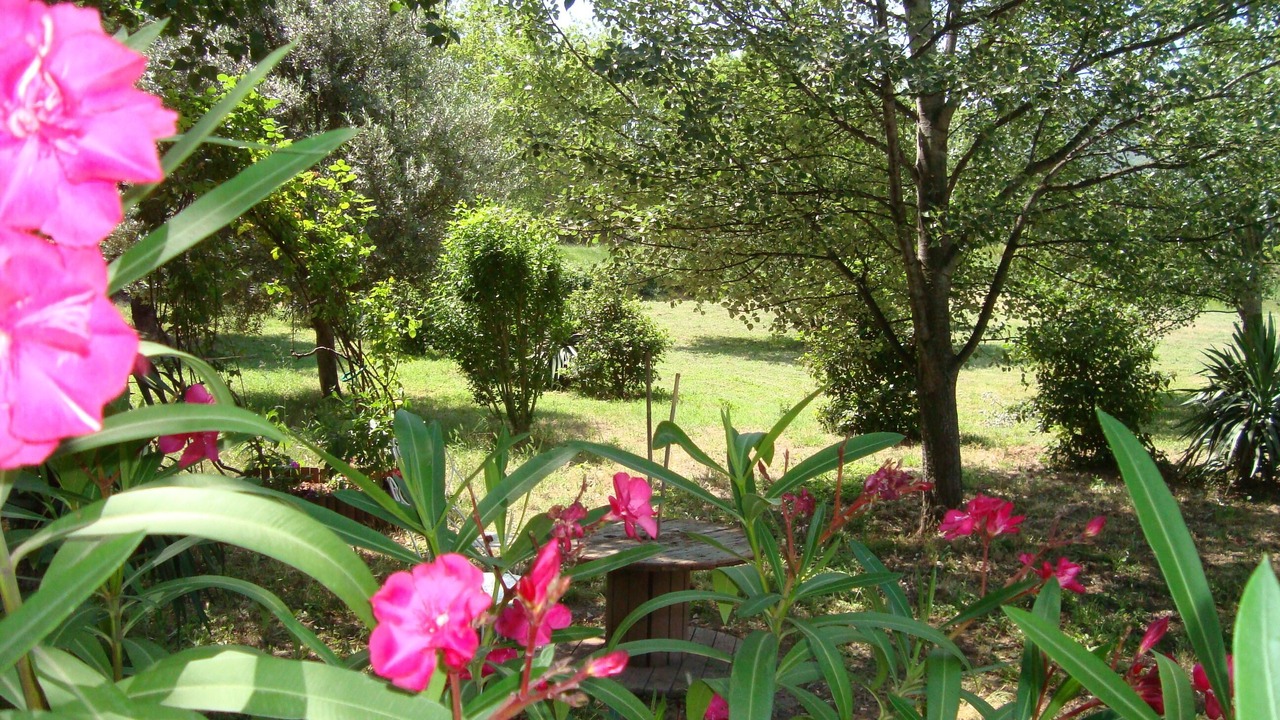 Photo of Outdoor in Liausson