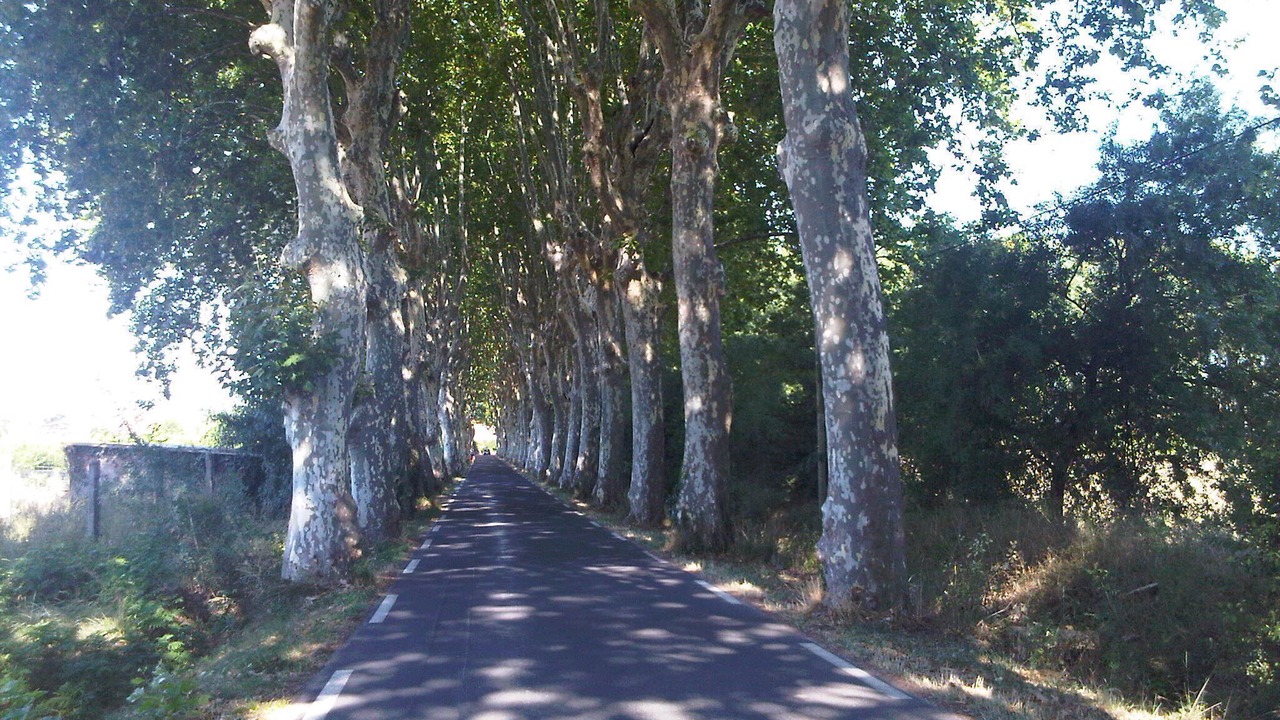 Photo of Outdoor in Marseillan