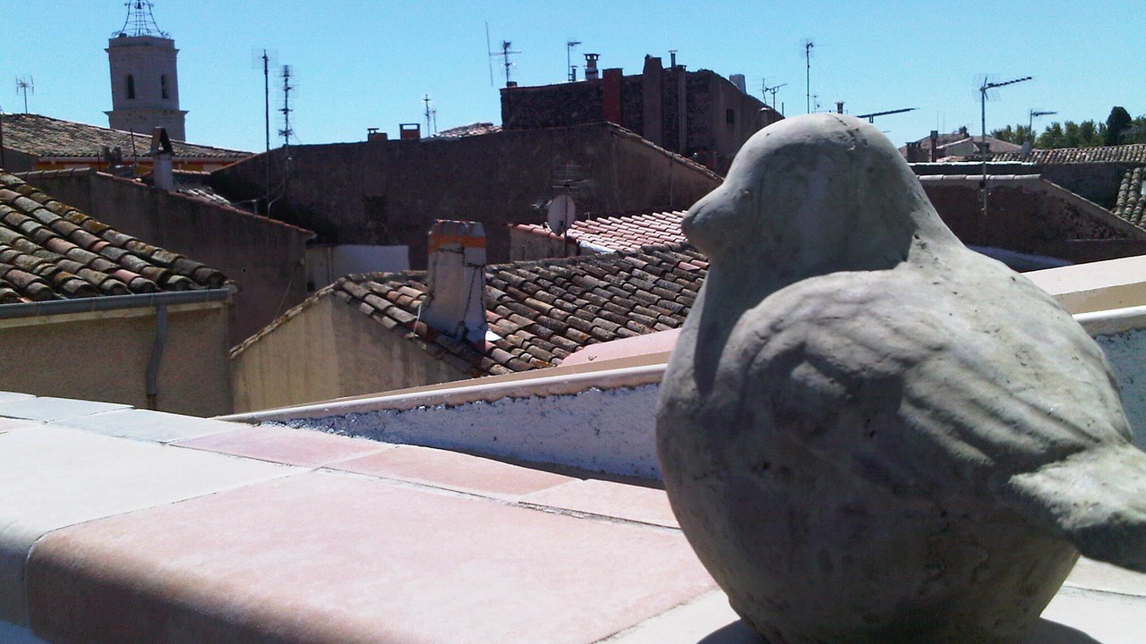 Photo of Others in Marseillan