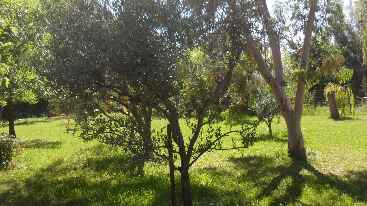 Photo of Outdoor in Saliers