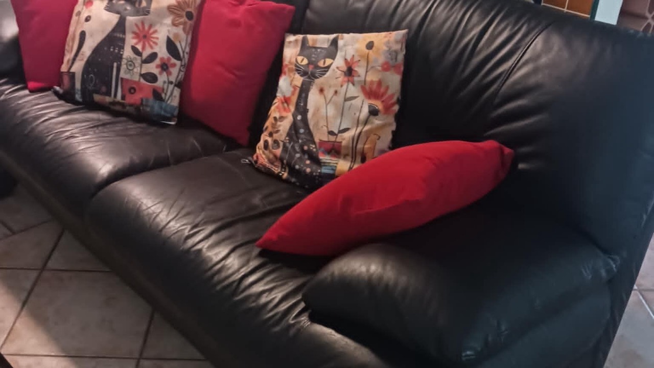 Photo of Livingroom in Saliers