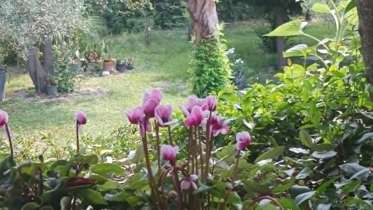 Photo of Outdoor in Saliers