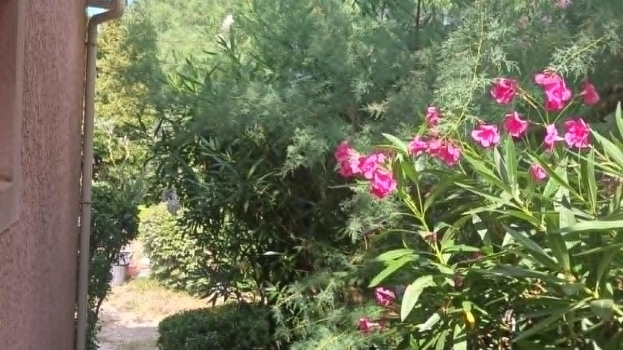 Photo of Outdoor in Saliers