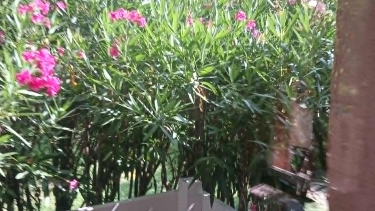 Photo of Outdoor in Saliers