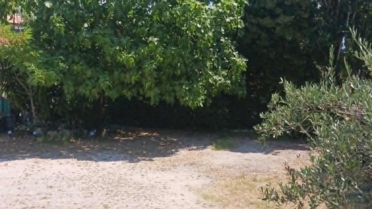 Photo of Outdoor in Saliers