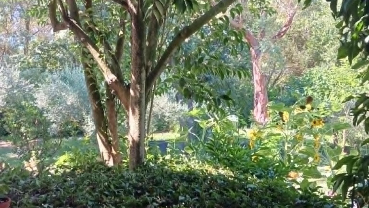 Photo of Outdoor in Saliers