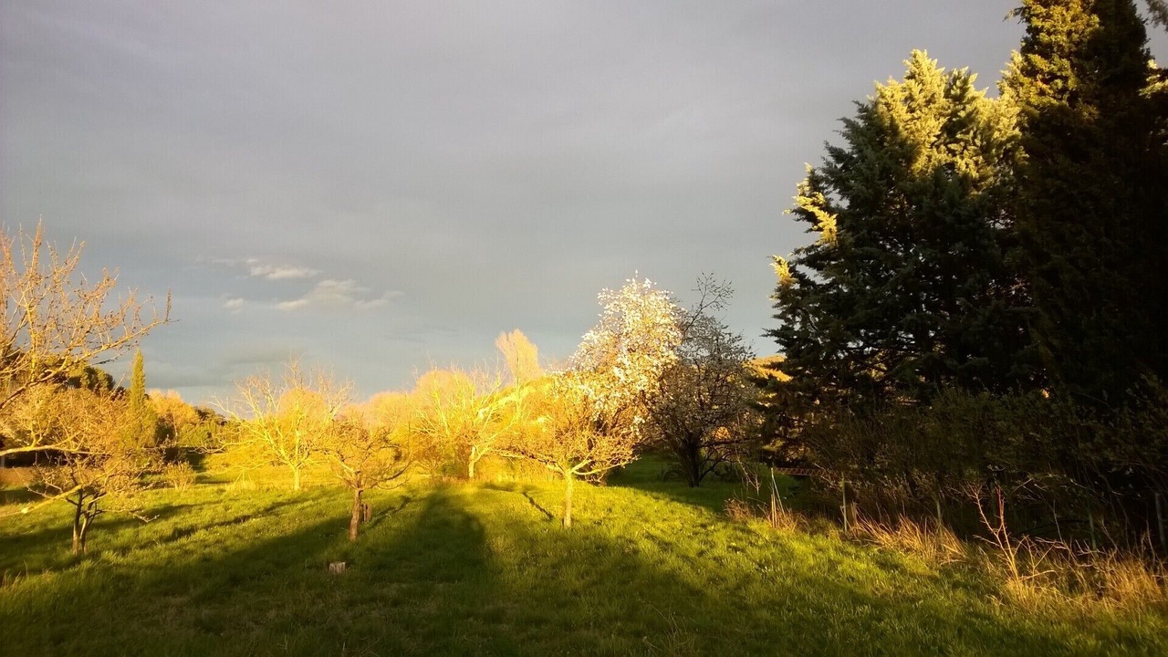 Photo of Outdoor in Greoux-les-Bains